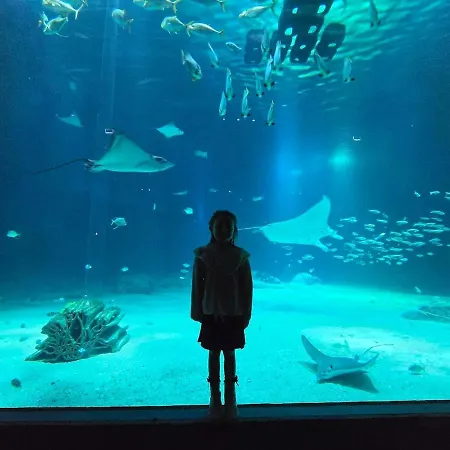 Ferienhaus Ma Casa Boulogne-sur-Mer